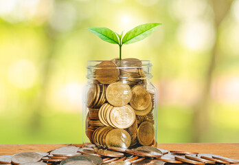 money for business investment finance and banking concept. green plant leaves growth up on row of saving coin stack on wood table with green blur nature background.