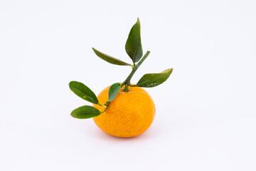 mandarin fruit with leaves
