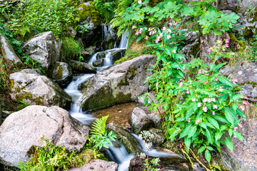 Todtnau Waterfall in the Black Forest Mountains, Germany