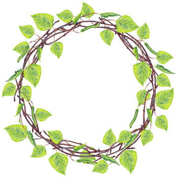 Summer forest frame of greenery branches with young leaves and catkins. Birch tree wreath. Wedding rustic decoration. Watercolor hand painted isolated elements on white background.