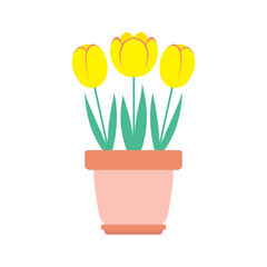 vector illustration of tulips flowers isolated on white, pot with flowers