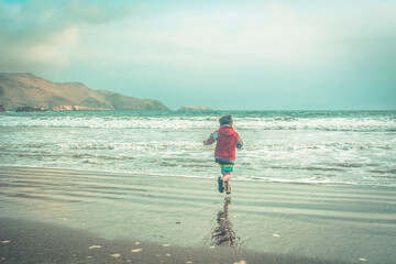 playa, ocasos, aves marinas, playas, botes, yates, surfers, vida marina