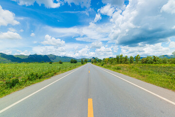Rural asphalt road among the fields in summer season