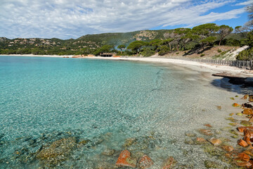 Fototapeta na wymiar La plage de Palombaggia, en Corse