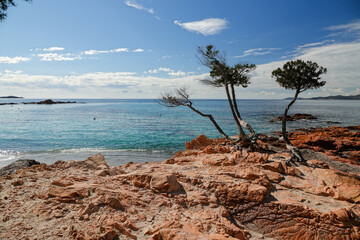 La plage de Palombaggia, en Corse