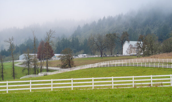 A horse ranch at Ankeny Hill in the Willamette Valley, Oregon