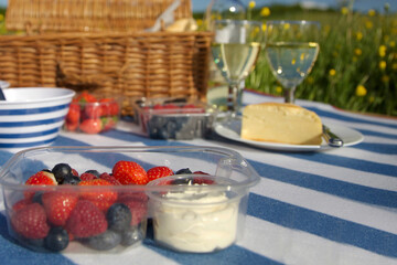 Picnic  bread, cheese,  mixed berries, cream and wine. Basket on a blue striped cloth. Green grass in the background