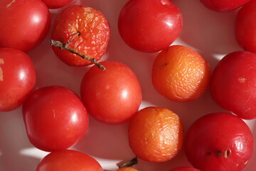red colored fresh and crumpled plums