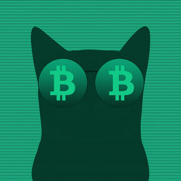 
Bitcoin Cryptocurrency Cat Wearing Crypto glasses. Modern Abstract cryptocurrency background.