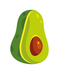 avocado fresh vegetable