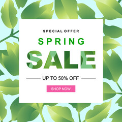 Fototapeta na wymiar Spring sale banner template with beautiful green leaves on a blue background. Vector illustration.