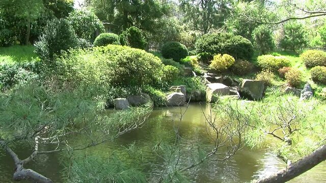 Camera jibs from left to right in Japanese garden with pond, stone lantern and waterfall. Niwaki style pine tree is in foreground.