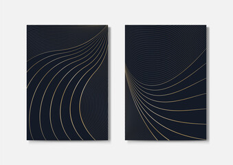 Luxury covers design, abstract golden lines curve patterns, a4 templates vector illustration