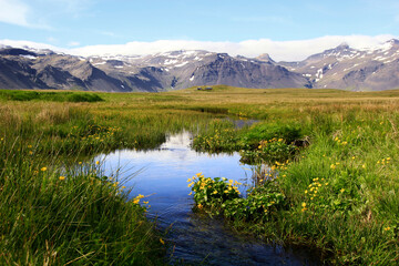 Stream and meadow near Ytri Tunga beach, Snaefellsnes peninsula, Iceland