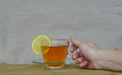 hand holding glass of beer