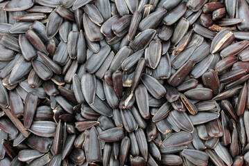 Naklejka premium many sunflower seeds lie together close-up