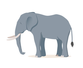 African elephant. Vector illustration isolated on white background