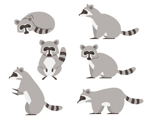 Collection isolated cute raccoon. Animal character design. Flat vector illustration isolated on white background.