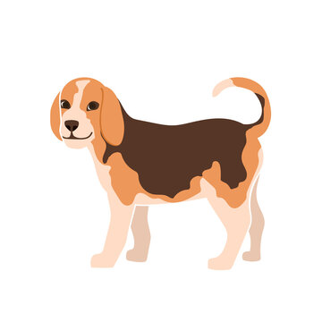 Cute flat puppy. Portrait of pretty little dog. Vector illustration isolated on white background.