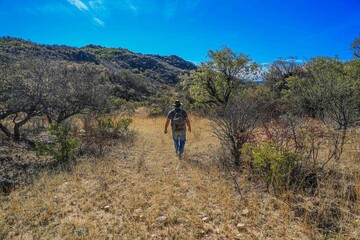 Juan Mario Cirett Galan, ecologist for the wildlife project on the ranch. Tonibabi ejido in the...