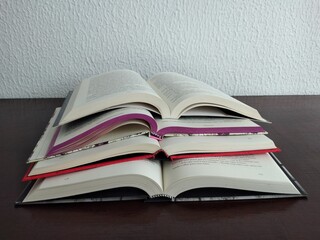 LIVROS ABERTOS PARA LEITURA
