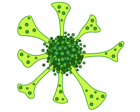 Stentor, ciliate, ciliate trumpeter, ciliate colony, trumpet animalcules - vector full color picture for with unicellular animals. Ciliates - a picture on biology.