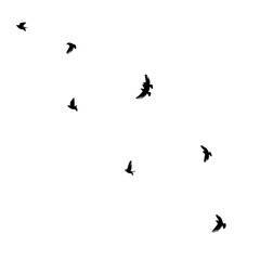A flock of flying birds. Vector illustration