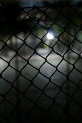 Fototapeta premium fence