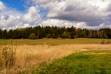 Wzgórza Sokólskie wiosną, Podlasie, Polska © podlaski49