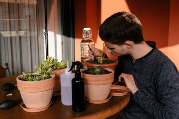 Hombre caucásico joven en la terraza de su casa cuidando sus plantas y suculentas con varias plantas encima de la mesa y material para cuidarlas
