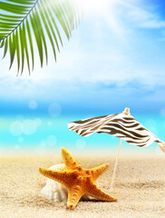 Fototapeta na wymiar seashells and palm on the sandy beach and umbrella. summer concept.