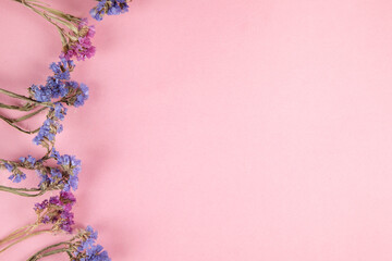 purple and blue dried flower