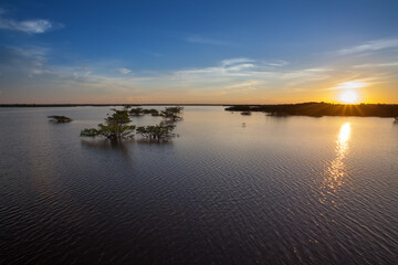 Beautiful sunset landscape view on sunny summer day in the Amazon rainforest, Brazil. Trees submerged in the flooded river season. Concept of nature, biodiversity, environment, ecology, conservation.