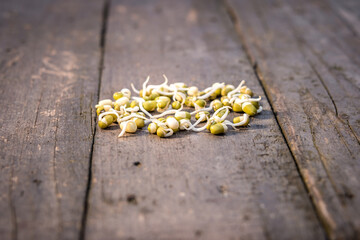 Focus on fresh green  mungo beans sprouts on rustical wooden table