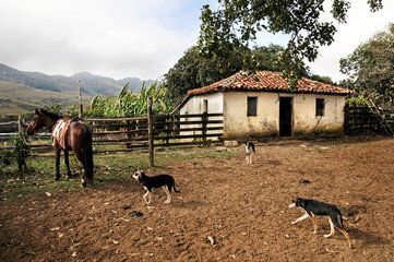 Casa simples na zona rural da Serra da Canastra   .