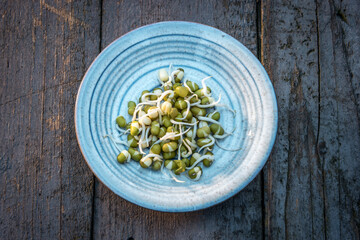 Fresh green sprouted mungo beans on ceramic plate and rustical wooden table