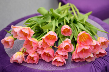 Fototapeta premium A huge beautiful bouquet of delicate pink tulips Background for congratulations on the holidays. Selective focus. Delicate tulips on a lilac background. Freshly cut flowers