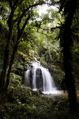 Fototapeta na wymiar Cachoeira do Máximo no Vale dos Veados - Parque Nacional da Serra da Bocaína.
