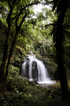 Cachoeira do Máximo no Vale dos Veados - Parque Nacional da Serra da Bocaína. © Pulsar Imagens