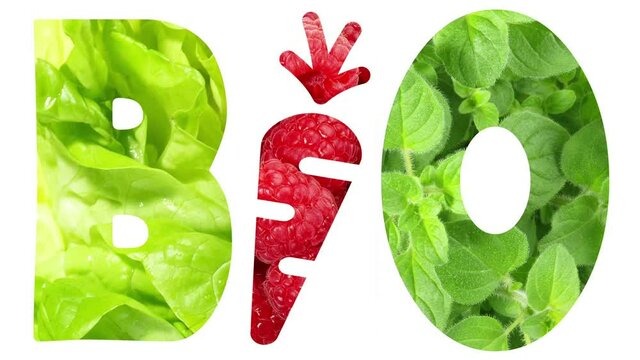 Bio Salat und Biogem&uuml;se vegetarische Lebensmittel - Animation