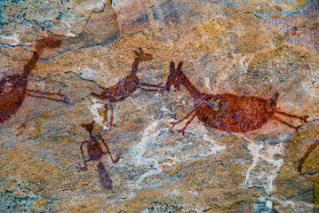 Pinturas Rupestres na Toca da Entrada do Baixão da Vaca - Parque Nacional da Serra da Capivara.