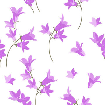 Seamless background wildflower bells. Vector illustration