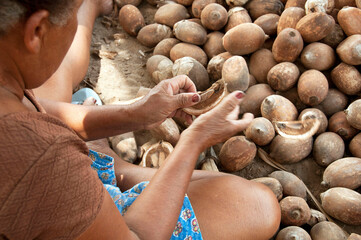 Detalhe da m&atilde;o de quebradora do coco de baba&ccedil;u.