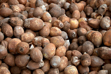 Textura de Coco de Baba&ccedil;u.