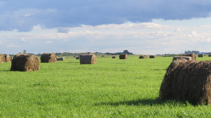 hay, field, agriculture, farm, landscape, straw, summer, bale, grass, sky, harvest, rural, meadow,...