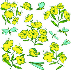 Summer set with blossoming plants and flying insects around. Flowers and butterlies. Floral collection with cute natural objects. Vector illustration in doodle sketchy style - 421097055
