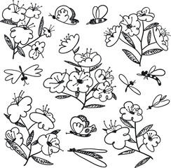 Summer set with blossoming plants and flying insects around. Flowers and butterlies. Floral collection with cute natural objects. Vector illustration in doodle sketchy style - 421097067