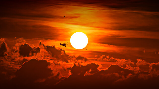 fly