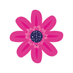 purple flower garden