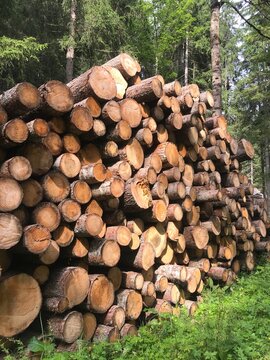 Montagna - legno